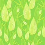 Light green wallpaper