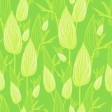 Light green wallpaper