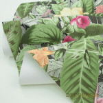 Tapety 392348 Sintra Borneo