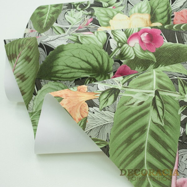 Tapety 392348 Sintra Borneo