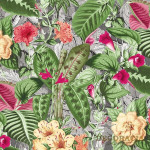 Tapety 392348 Sintra Borneo