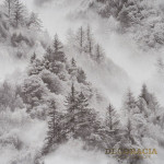 Tapety B119 1336-10 Slovyanski tapety Elegance