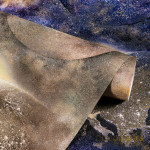 Wallpaper B121 2384-04 Slovyanski wallpapers Elegance