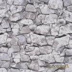 Tapety B227 5258-10 Slovyanski tapety Colorit
