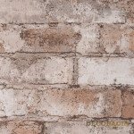 Wallpaper B227 5259-05 Slovyanski wallpapers Colorit